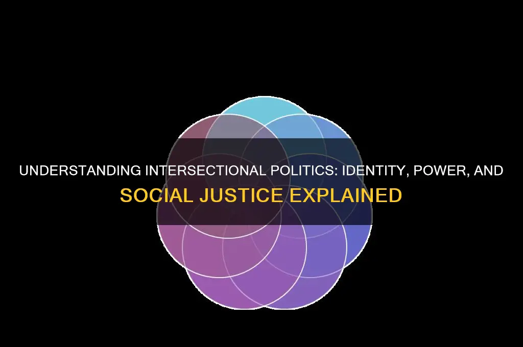 what is intersectional politics