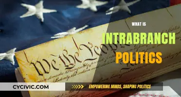Understanding Intrabranch Politics: Power Dynamics Within Government Branches