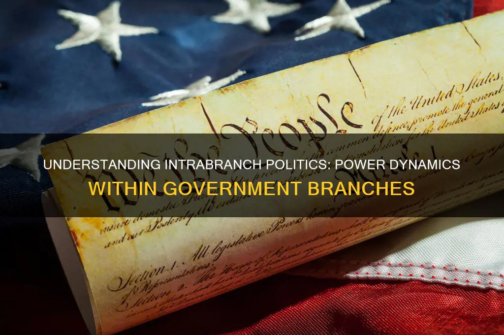 what is intrabranch politics