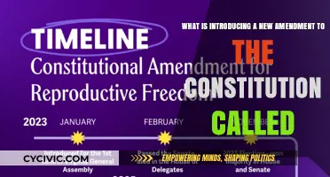 Amending the Constitution: What's the Process?