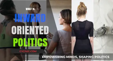 Understanding Inward-Oriented Politics: Focus, Impact, and Global Implications
