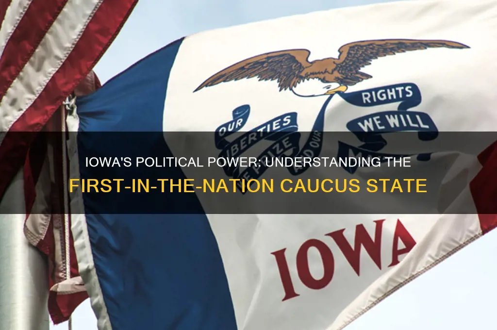what is iowa in politics