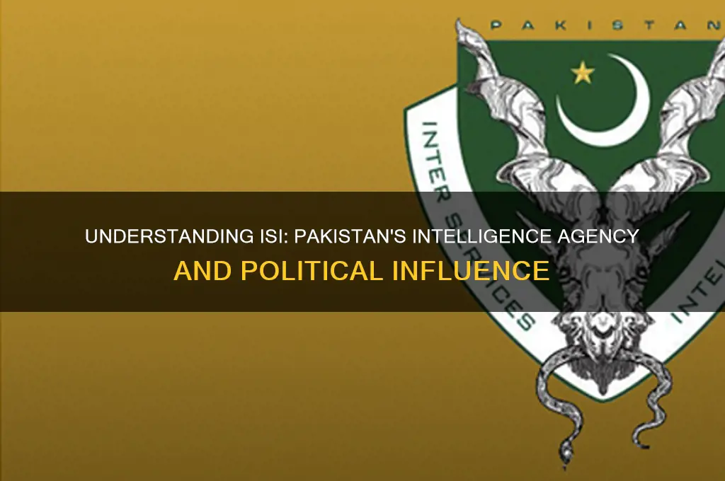 what is isi in politics
