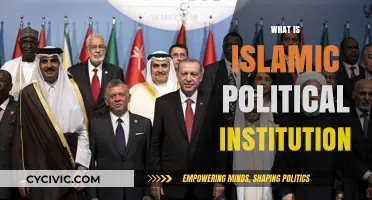 Understanding Islamic Political Institutions: Structure, Role, and Global Influence