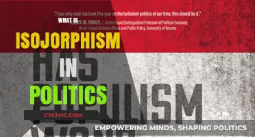 Understanding Isojorphism: Political Power Dynamics and Structural Equivalence Explained