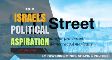 Israel's Political Aspirations: Goals, Challenges, and Regional Dynamics Explored