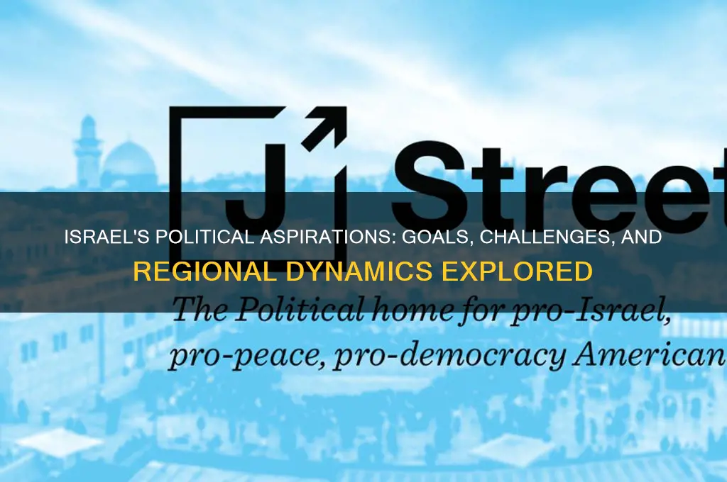 what is israels political aspiration