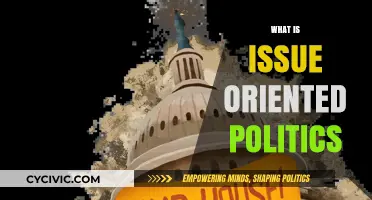 Understanding Issue-Oriented Politics: Focus, Policies, and Public Engagement