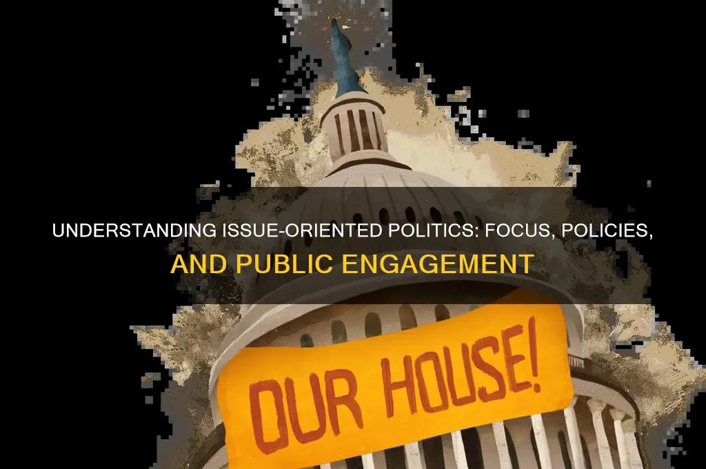 what is issue oriented politics
