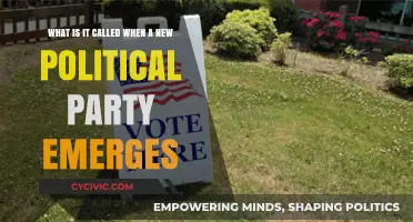 The Rise of New Political Parties: Understanding Their Emergence