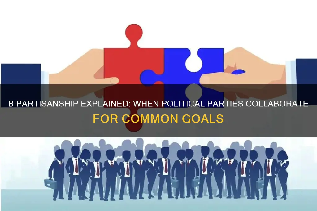 what is it called when political parties work together