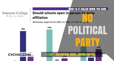 Independent Voters: Understanding the Term for No Political Party Affiliation