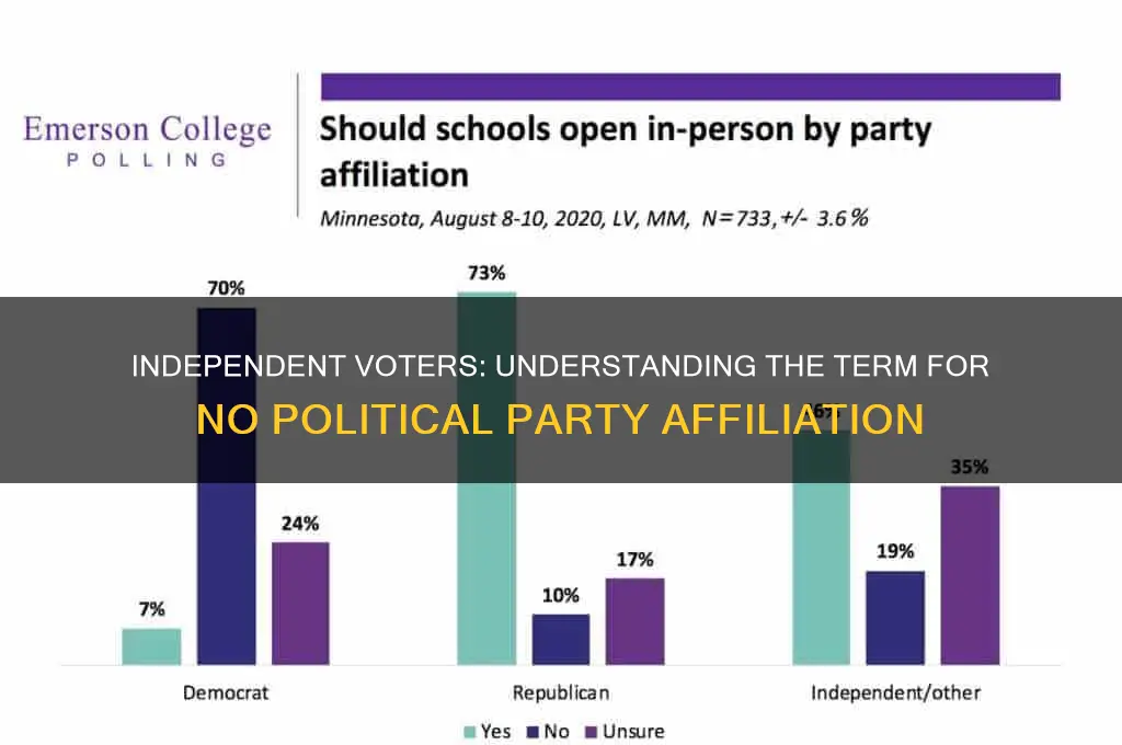 what is it called when you have no political party