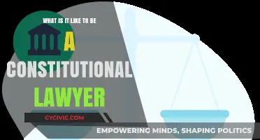 A Day in the Life of a Constitutional Lawyer