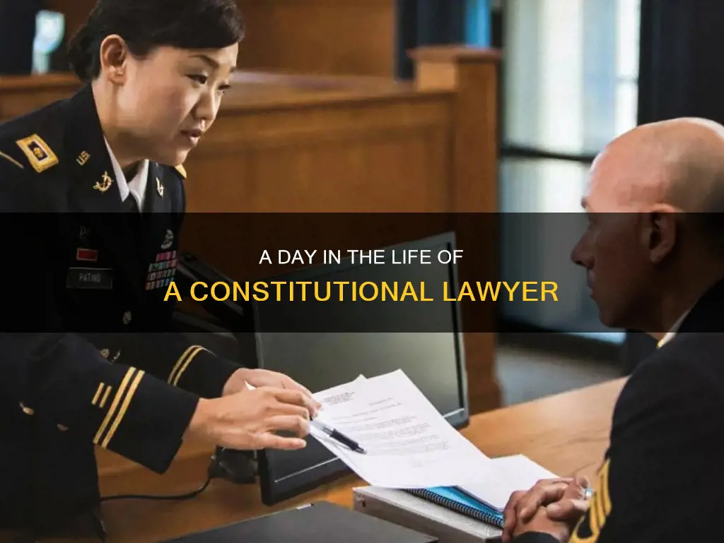 what is it like to be a constitutional lawyer
