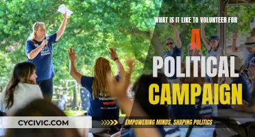 Volunteering for Political Campaigns: My Experience and Insights