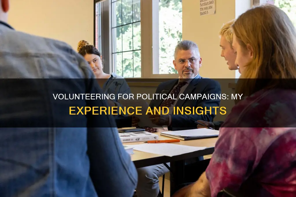 what is it like to volunteer for a political campaign