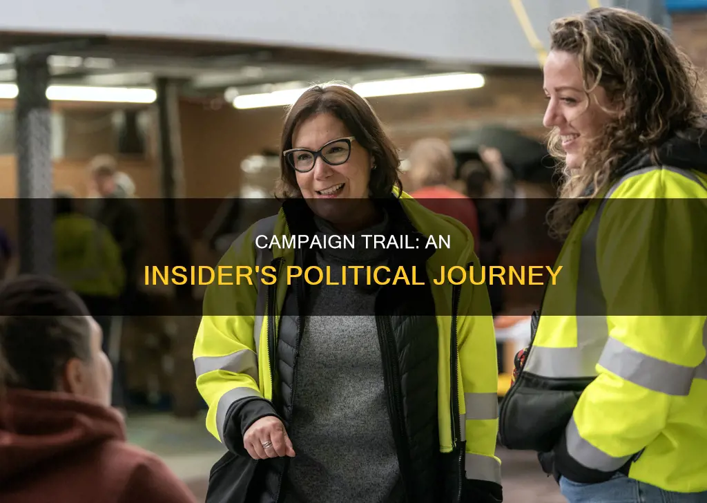 what is it like to work on a political campaign