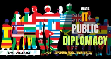 Public Diplomacy: Understanding Soft Power and Influence