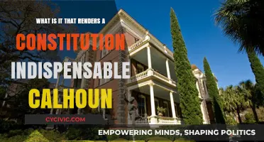 Why Constitutions Are Essential: Calhoun's Perspective