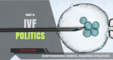 Understanding IVF Politics: Policies, Ethics, and Reproductive Rights Explained