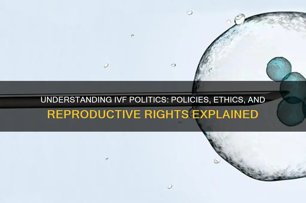what is ivf politics