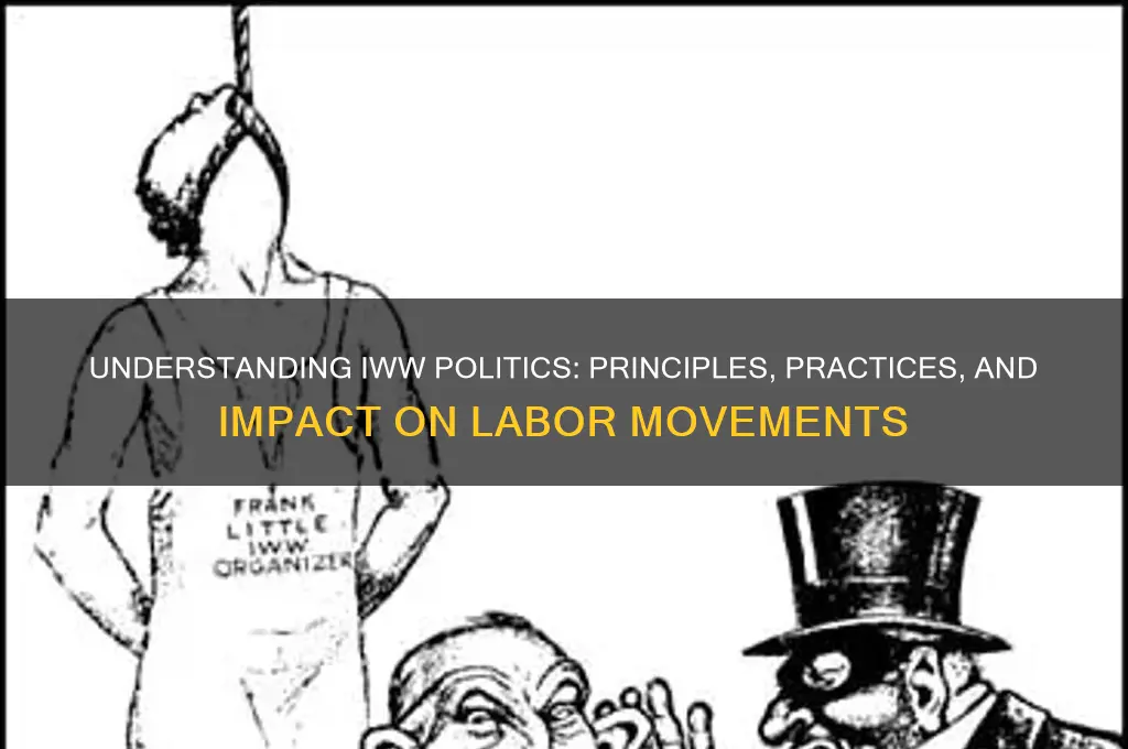 what is iww politics