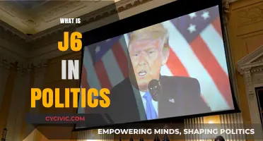 Understanding J6: The January 6th Capitol Riot's Political Impact Explained