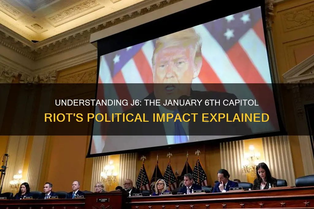 what is j6 in politics