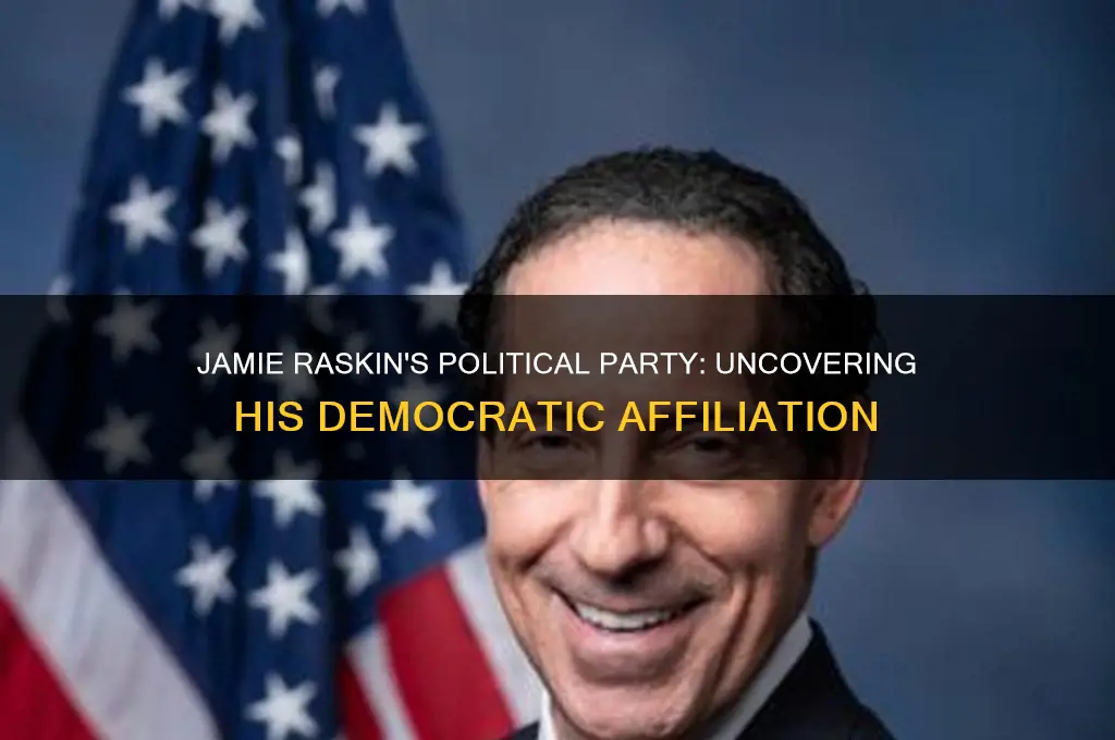 what is jamie raskin