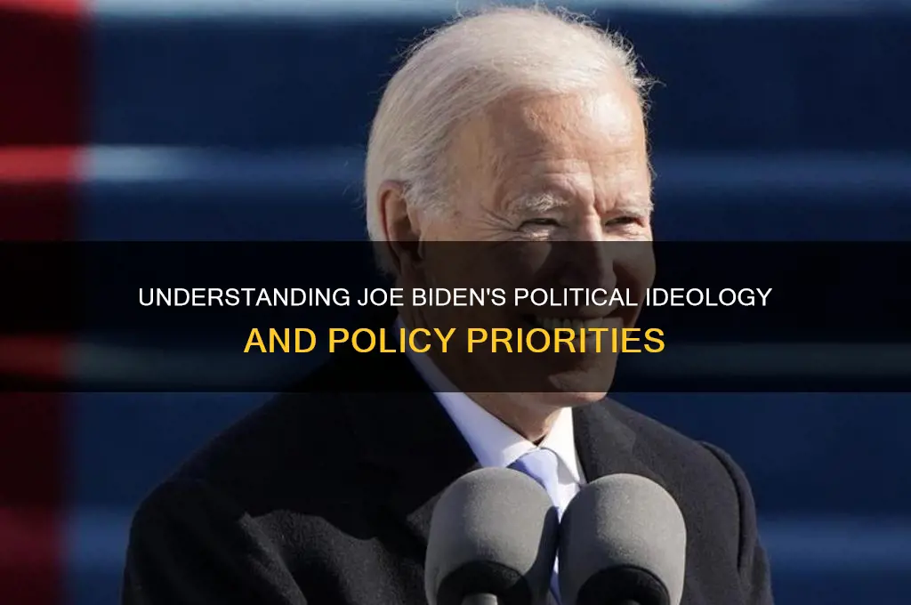 what is joe biden political