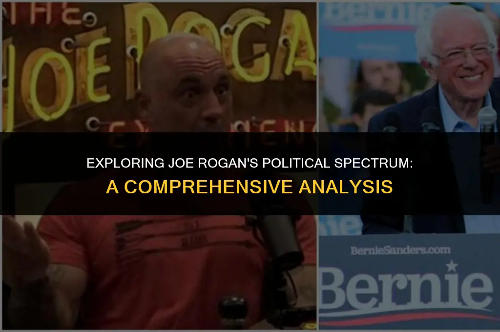 what is joe rogan political views