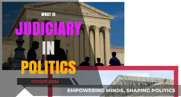 Understanding the Judiciary's Role in Shaping Political Landscapes and Governance