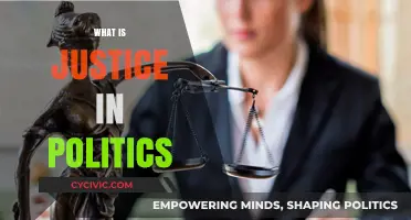 Understanding Justice in Politics: Principles, Practices, and Societal Impact