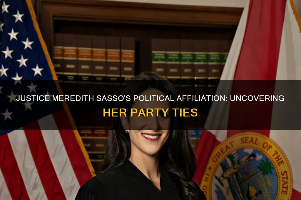 what is justice meredith sasso political party