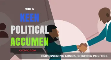 Understanding Keen Political Acumen: Strategies for Navigating Complex Political Landscapes