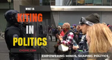 Understanding Kiting: Political Maneuvering and Its Impact on Governance