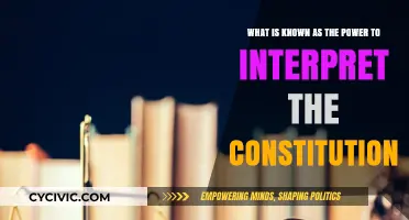 Interpreting the Constitution: Power and its Limits