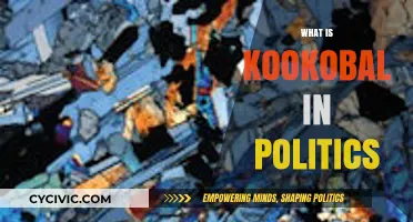 Understanding Kookobal: Its Role and Impact in Modern Political Strategies