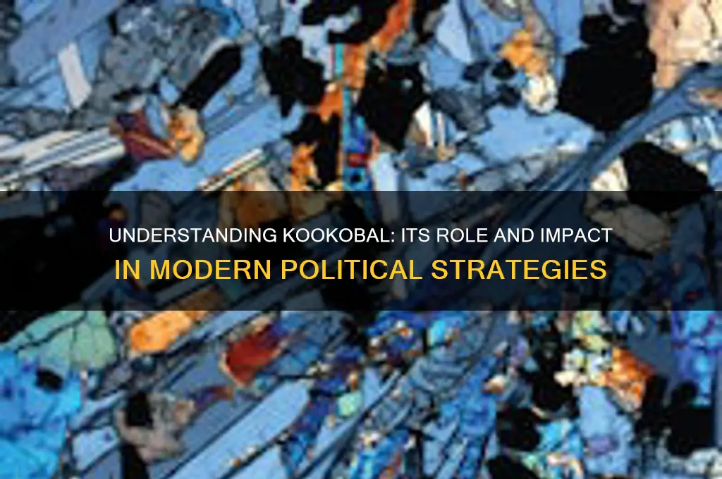 what is kookobal in politics