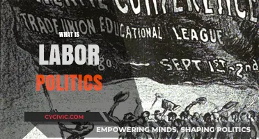 Understanding Labor Politics: Workers' Rights, Unions, and Policy Influence