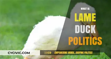 Understanding Lame Duck Politics: Power, Limitations, and Transitional Governance