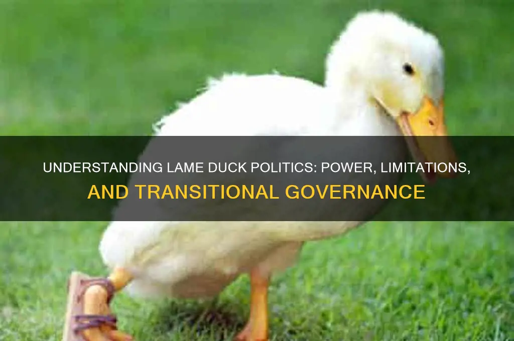 what is lame duck politics