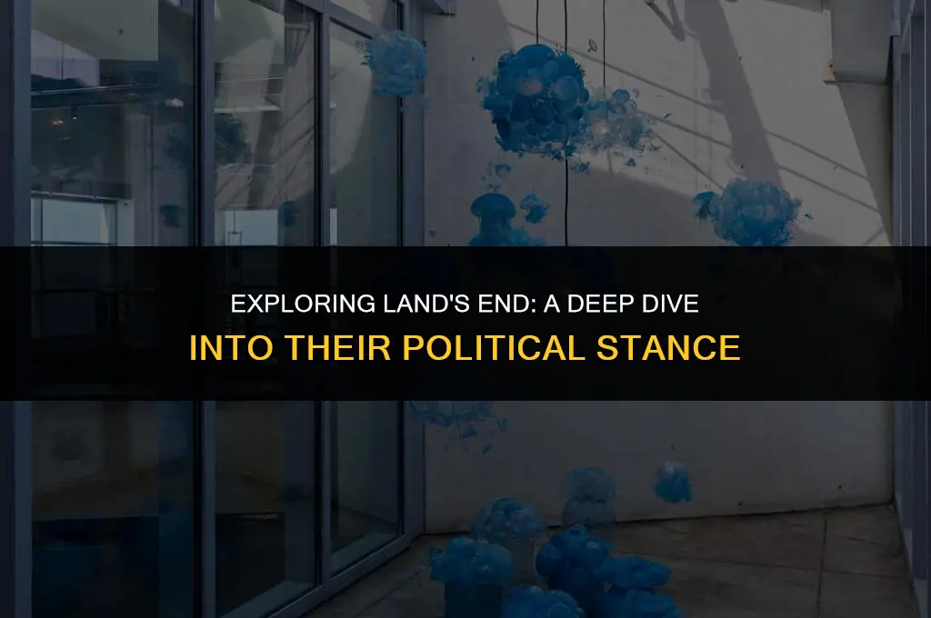 what is lands end political views