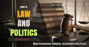 Understanding the Complex Relationship Between Law and Politics