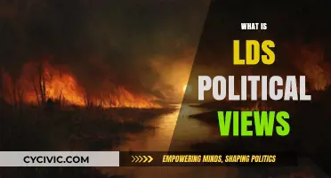 Exploring the Spectrum of LDS Political Perspectives