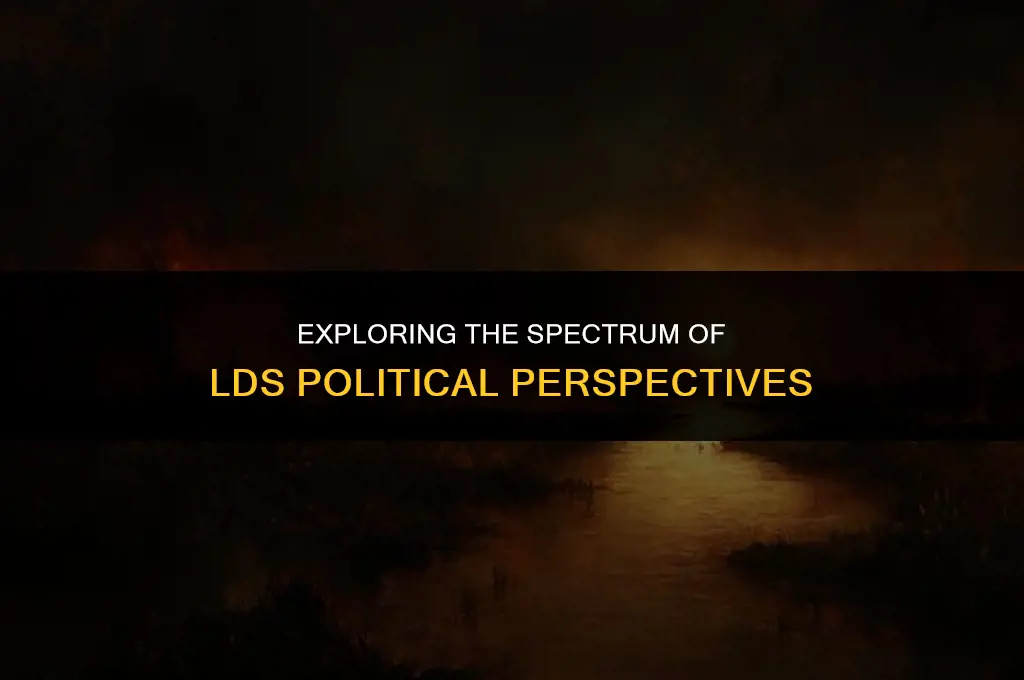 what is lds political views