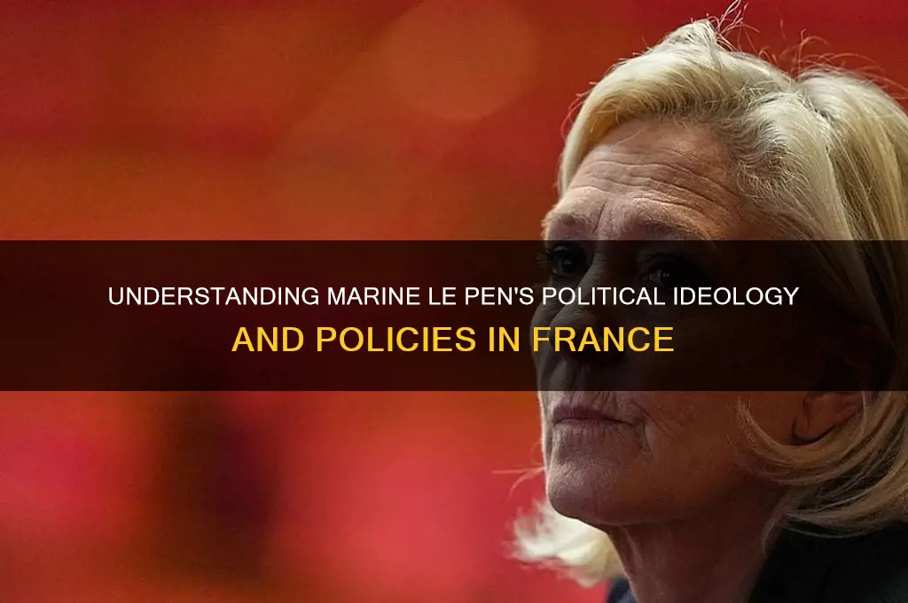 what is le pens politics