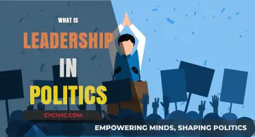 Understanding Political Leadership: Power, Influence, and Public Service Explained