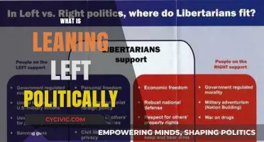 Understanding Left-Leaning Politics: Core Values, Policies, and Societal Impact